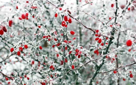 1421227 (a): :2560x1600